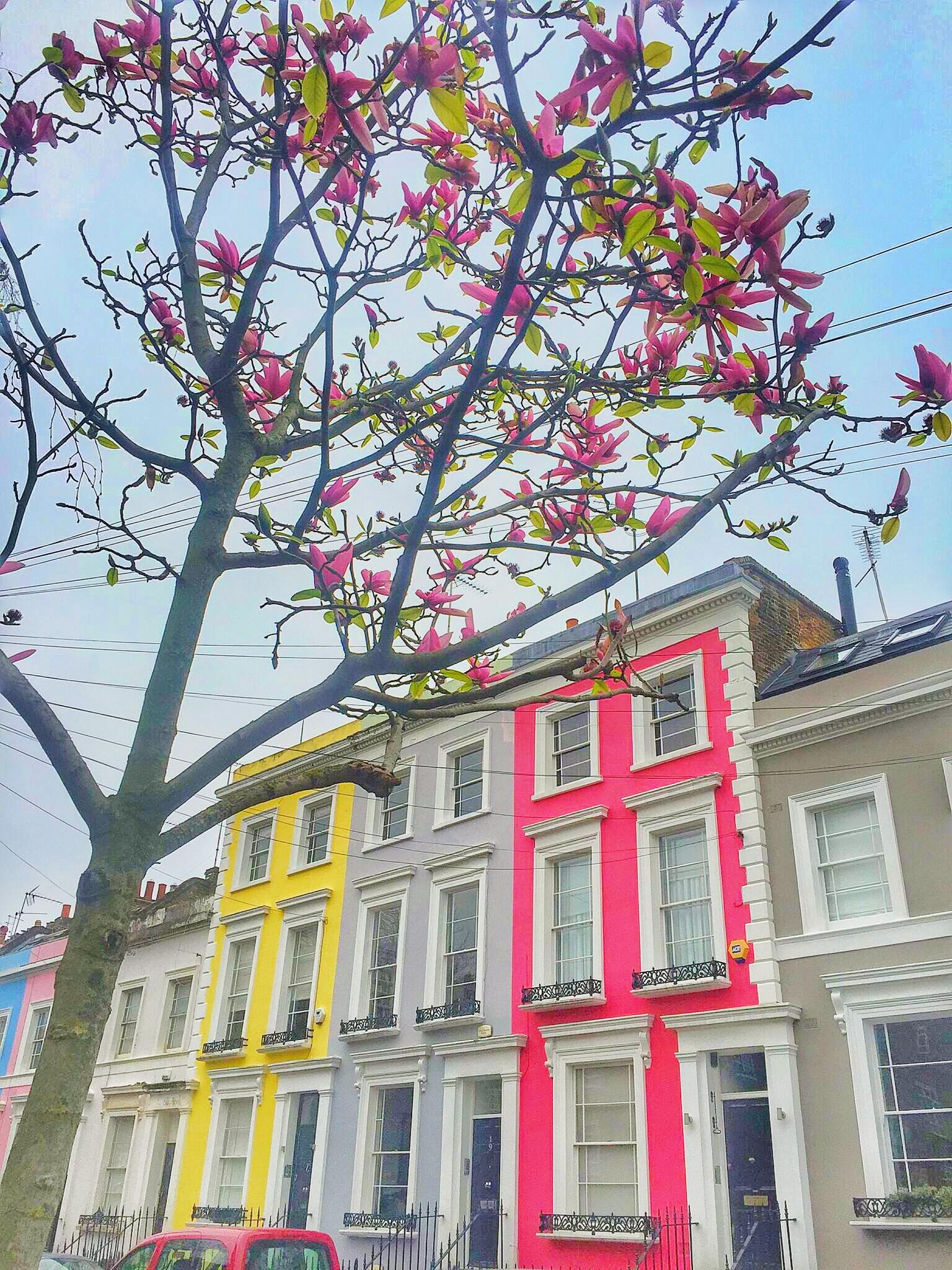 Colorful notting hill